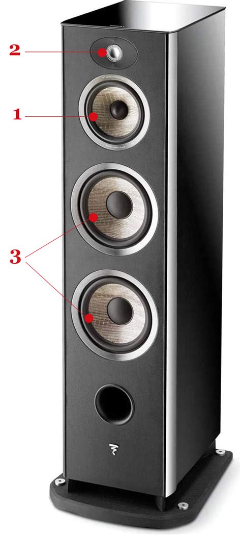 Ways To Connect Speakers To An Amp Audioreputation