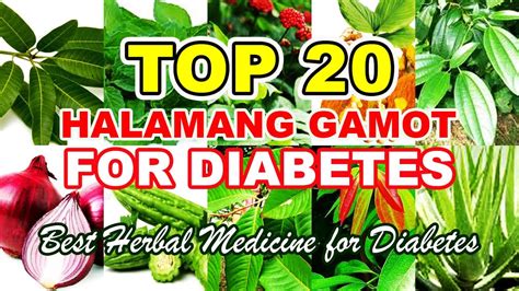 Top 20 Mga Mabisang Halamang Gamot Sa Diabetes Subukan Mo Youtube