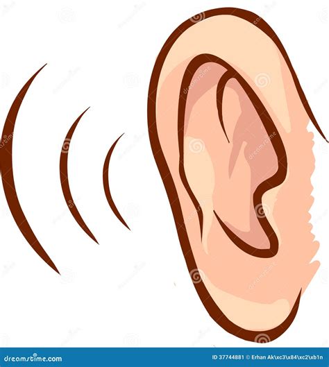 Ear Stock Vector Illustration Of Hearing Listen Object 37744881