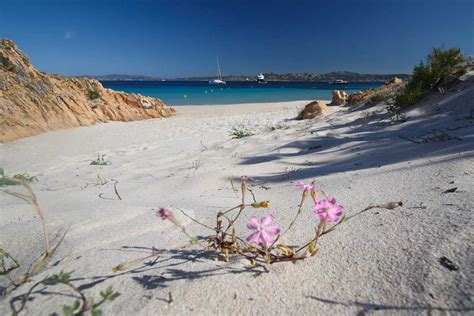Budelli from mapcarta, the open map. Daily boat excursion to La Maddalena Island