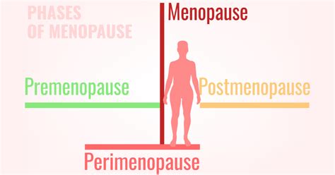 Premenopause Perimenopause And Menopause How They Differ And More