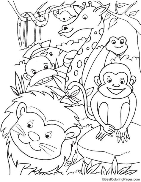 Animals In Forest Coloring Page Coloring Books Coloring Pages