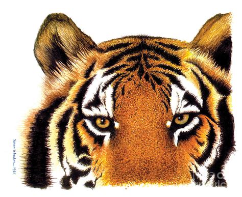 Tiger Eyes Painting By Karen Wheeler Fine Art America