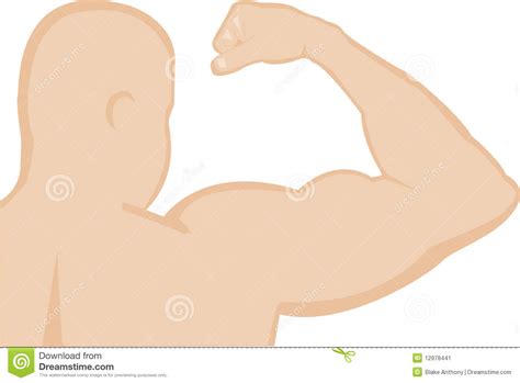 Man S Arm Flexing Bicep Muscle Stock Vector Illustration Of Training