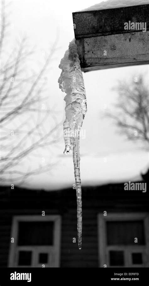 A Large Icicle Hanging From The Roof Of The House Photographed Closeup