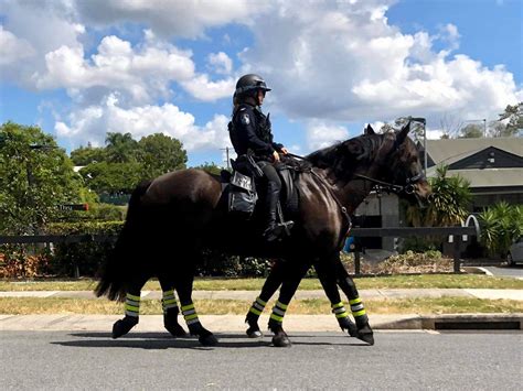Mounted Police patrol Logan District - Logan