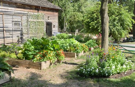 Cinder block garden shelfvia 3… 10 Smart Ways to Garden on a Budget - Modern Farmer