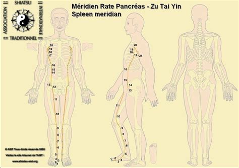 Acupuncture Points And Meridians Acupoints And Meridians Acupuncture For Anxiety Point