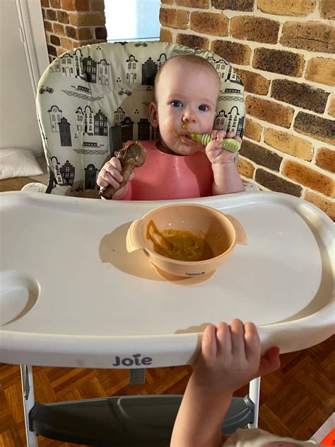 how to start solids and what you need nestor avenue