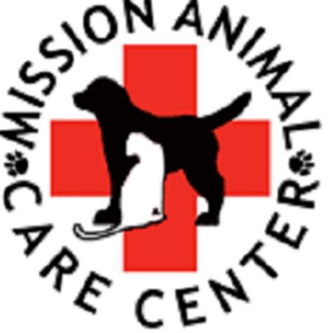 Mission Veterinary Clinic And Animal Emergency Hospital Youtube