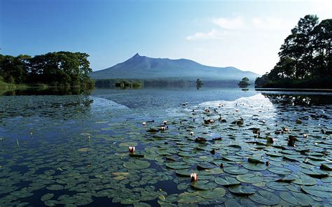 Hd Wallpaper Green Water Lilies Mountains Lake Lily Silence
