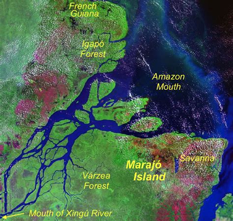 Nephicode Why The Amazon River Has No Delta Part Ii