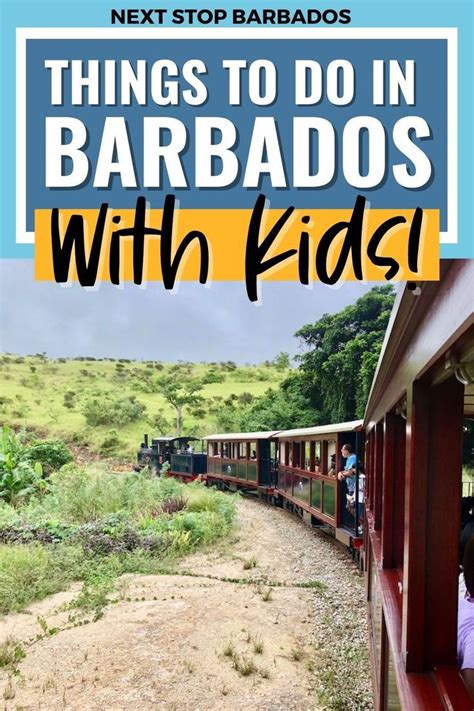 Fun Things To Do In Barbados With Kids Next Stop Barbados In 2021