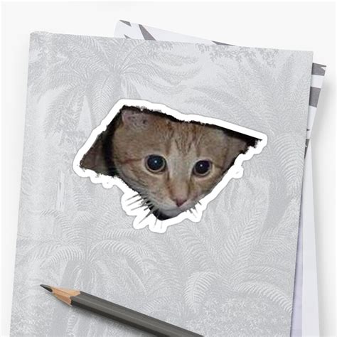 Once the download completes, the installation will start and you'll get a notification after the installation is finished. "Ceiling Cat" Stickers by johntheone | Redbubble