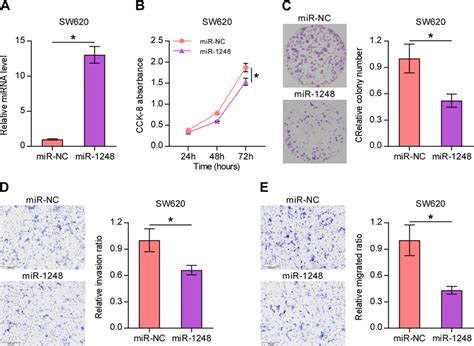 overexpression of mir 1248 inhibited the proliferation invasion and download scientific