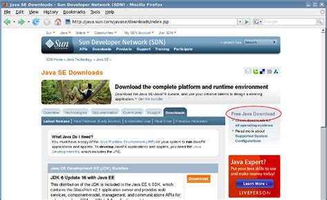 Torrent downloads » other » java runtime environment 1 6 0 13. Changing Linux Look and Feel to Nimbus