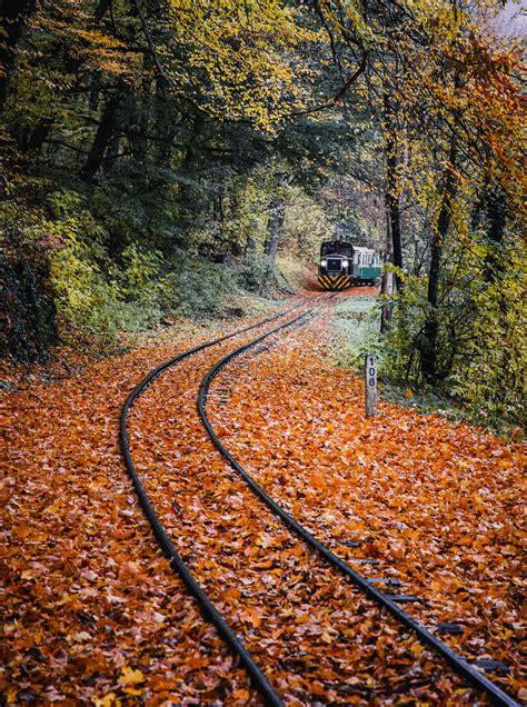 Green Train Surrounded By Trees · Free Stock Photo