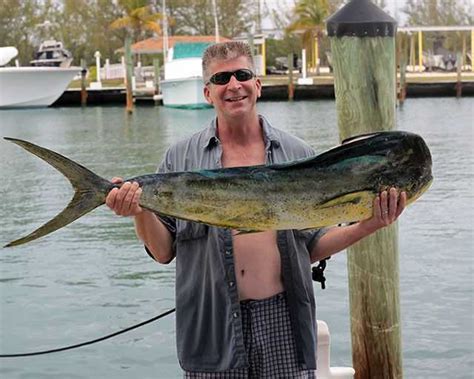 South Eleuthera Bahamas Fishing Report And Forecast Oct 2013
