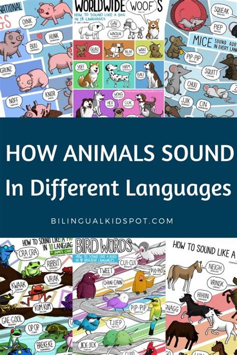 How Animals Sound In Different Languages Around The World