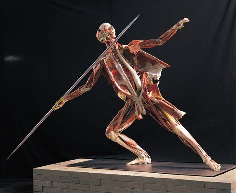 Welcome To Our Body Worlds Greater Birmingham Convention And Visitors Bureau Birmingham Al