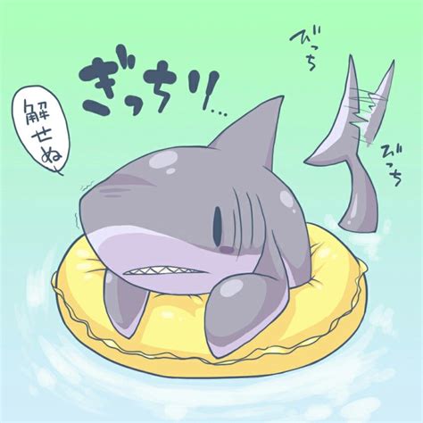 Cute Anime Shark