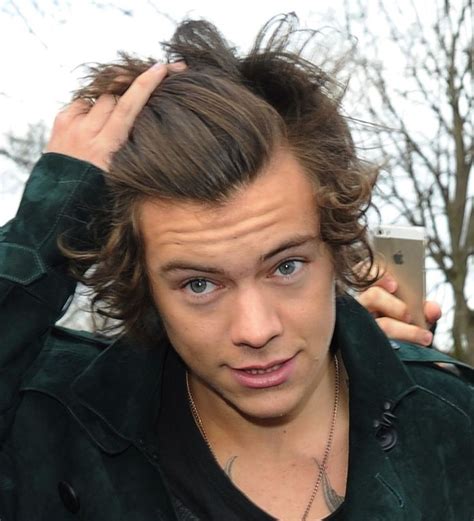 this is the hair we want and need harry styles hair harry styles style