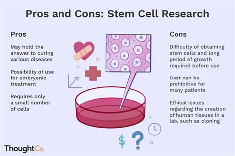 Pros And Cons Of Stem Cell Research