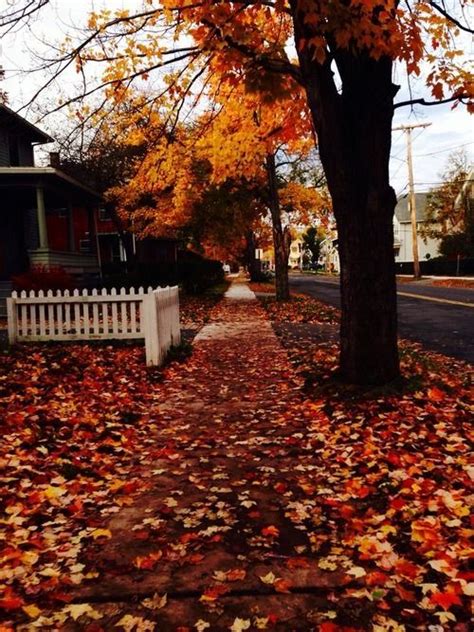 A Leaf Covered Autumn Sidewalk Autumn Photography Autumn Cozy Fall