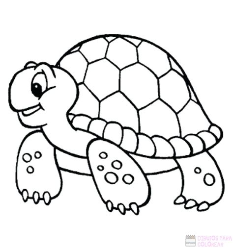 Dibujos De Tortugas Infantiles Para Colorear Dibujo De Tortuga Images