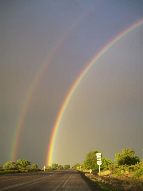 Double Rainbow The Best