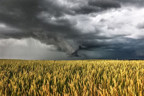 Storm Over Wheat Field Smithsonian Photo Contest Smithsonian Magazine