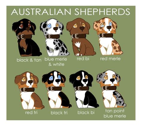 Australian Shepherds Art Print By Brit Eddy Australian Shepherd