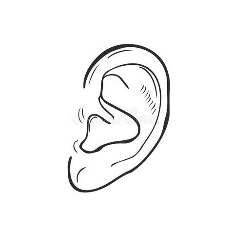 Human Ear Hand Drawn Outline Doodle Icon Human Ear As A Concept Of