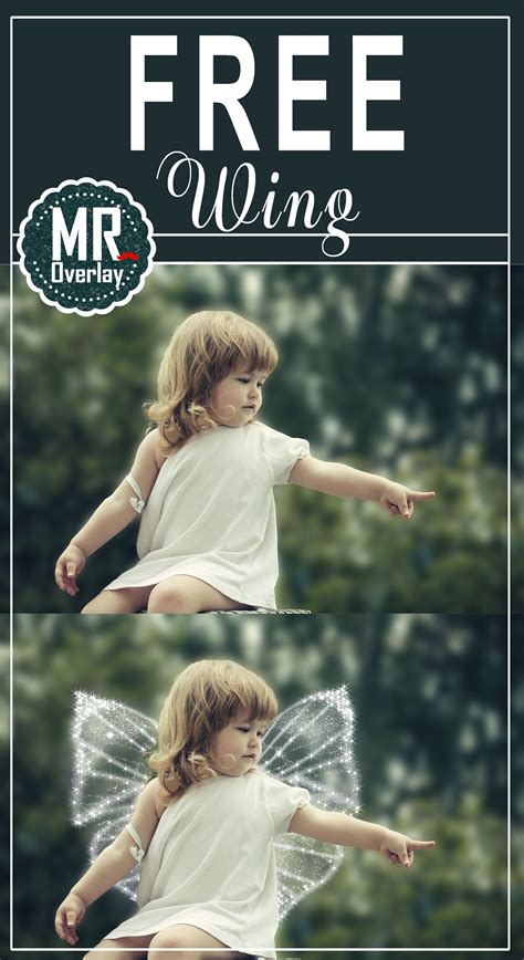 Free Angel Butterfly Magic Wings Photo Overlays Photoshop Overlay