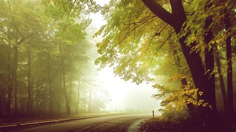 Foggy Autumn Morning Photograph By Art Spectrum