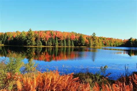 See Some Of Our Favorite Vilas County Scenes Wisconsin Travel Best Bets