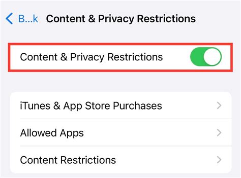 How To Turn Off Restrictions On IPhone IPad Without Password TechCult