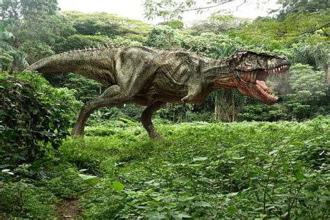 Actualizar Imagem Imagens De Dinossauros De Verdade Br Thptnganamst Edu Vn