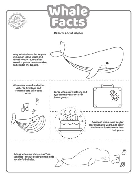 Fun Whale Facts For Kids To Print And Learn Kids Activities Blog