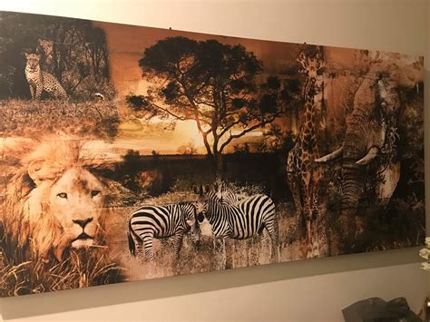 Where Do I Get This African Safari Canvas Printwall Art Just Love It