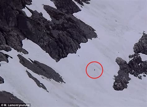 Is This Bigfoot Sasquatch Caught On Camera In Canadian Mountains