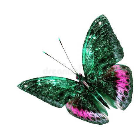 Beautiful Green And Pink Flying Butterfly Isolated On White Back Stock