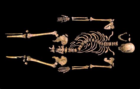Rediscovering Richard Iii The Story Of Identifying A Lost King