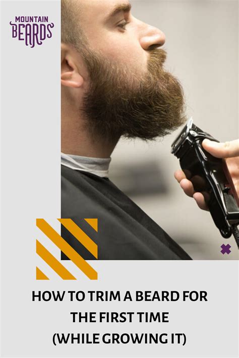 how to trim a beard for the first time while growing it beard trimming guide beard trimming