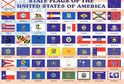 50 State Flags State Flags Of The 50 United States Goingtwinsane