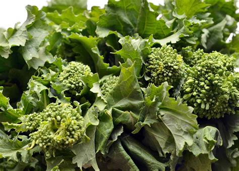What Is Broccoli Rabe