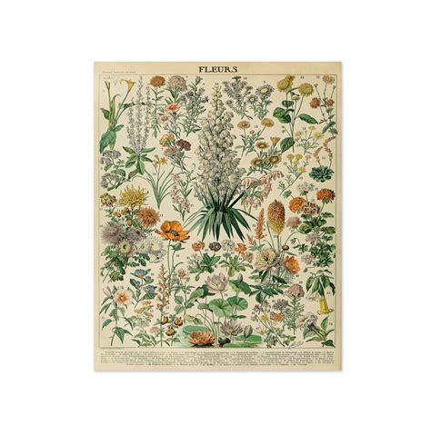 French Botanical Print Set Flower Prints From An Antique Etsy