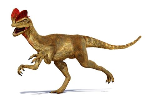 15 Nama Nama Dinosaurus Paling Terkenal Dengan Gambarnya Yupi