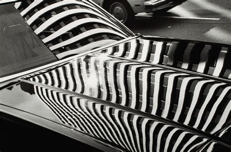 Monroe Gallery of Photography: Andreas Feininger: Nature and the