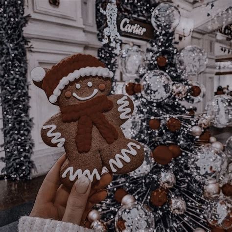 Pin By 𝐂𝐇𝐑𝐈𝐒𝐒𝐘 On Aes Winter Christmas Themes Christmas Aesthetic